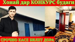 Срочно касеки билет дора дро бин билет кам монд