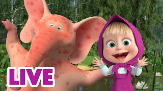 🔴 LIVE! Maşa İle Koca Ayı 🙌 Hazır! Dikkat! Hafta sonu! 🥳🗓️ Masha and the Bear