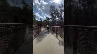 Cycling through the Trees