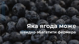 Яка ягода може швидко збагатити фермера