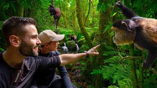 Trekking Deep Inside the Rwandan Bamboo Forest