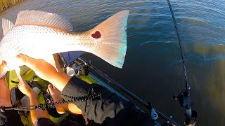 Hunting for REDFISH | Quick Evening Trip