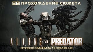 ALIENS vs PREDATOR | Эпизод Хищника 1 | Обучение