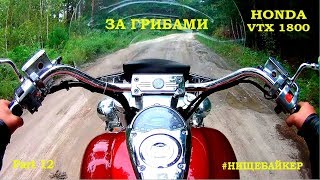 Honda VTX1800 #12 За грибами