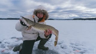 Ловля щуки на жерлицы. Трофей, щука на 4100.  Вот это рыбалка! / Catching pike in winter. Big pike-