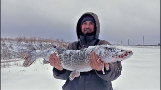 ЩУКИ МОНСТРЫ ВЫРЫВАЮТ ЖЕРЛИЦЫ ИЗ РУК!!! ЭТО НУЖНО ВИДЕТЬ!! ВОТ ЭТО ДЕРЕВЕНСКОЕ ОЗЕРО РАЗДАЁТ!!