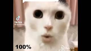 Cat singing World Cup by IShowSpeed but it gets faster