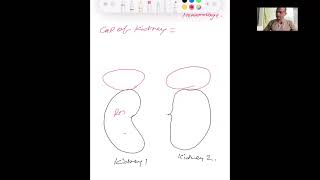 Session 8 EOV   Extra Ordinary Vessels , Treating Endocrine Glands using EOV