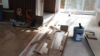 Hardwood flooring today