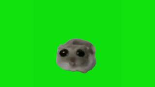 Sad Hamster Meme Green Screen Chroma Key Template