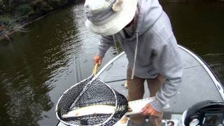 Otter Lake Muskie