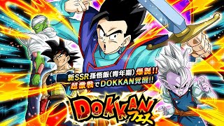 NEW TEQ TRANSFORMING ULTIMATE GOHAN BANNER SUMMONS DOKKAN BATTLE JP