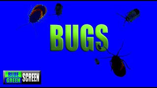 Creepy Bugs Crawling with Blue/Green Screen Background | Squishy Bug Sound Effects | ROYALTY FREE