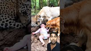 Doggy or tiger 🐅 ke pass leta hai beby 😱 #tiger #baby #babyab #babybunny #kids #shorts #viralvideo