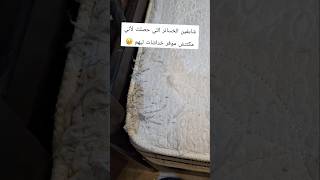 ضد أو مع أننا نوفر مكان مخصوص لخدش القطط ؟