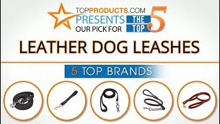 Best Leather Dog Leash Reviews - How to Choose the Best Leather Dog Leash