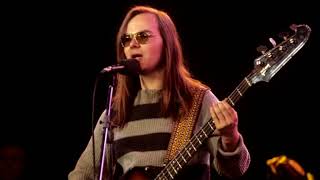 Steely Dan Black Friday solo - RIP Walter Becker