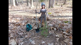 Smart Doll Musings: Arbor Day 2022 - Planting a Tree