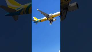 Cebu Pacific Air #travel