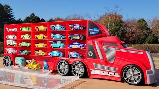 Find 44 colorful Cars minicars (Tomica) in a park full of trees