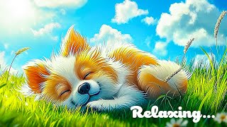 Lofi hip hop mix ~ Stress Relief, Relaxing Music 🍀 beats to sleep/study