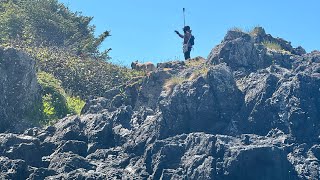 Playing with my new Insta360 4x on Shell Beach, Tofino Canada