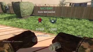 Combat Axe Trickshots (Combat Training)