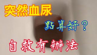 《突然血尿》😨點算好？😓自救有辦法💯 Hematuria suddenly, how to handle?