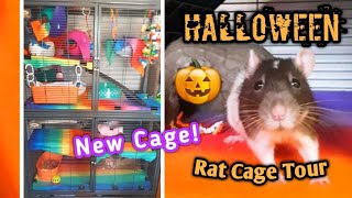 Halloween Rat Cage Tour Special! Part #2🎃