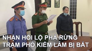 Liên tục phá rừng trạm trưởng đến trạm phó kiểm lâm bị bắt vì nhận hối lộ từ kiểm lâm tặc