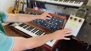 Moog Minimoog through the EXH Lizard Queen (Part 2)