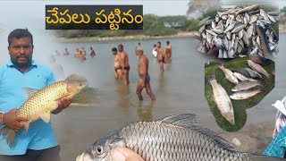 చపలు పట్టినం 🐠🐟🐠🐟🐠🐟