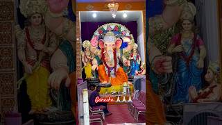 Ganapati at Nippo Centre Nellore #latest #trending #ganapati #vinayaka #ganesh #subscribe 🙏🏻🙏🏻❤️