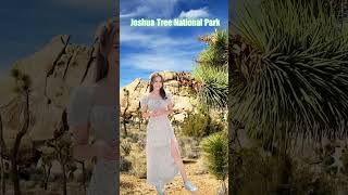 Discover the Magic of Joshua Tree National Park A Journey of Wonders!