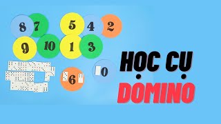 Bộ học cụ số và số lượng domino | Học Cụ Toán Tư Duy| Ngôi Sao Tư Duy