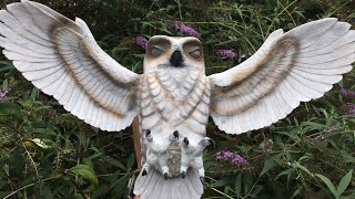 Painting an owl wood carving