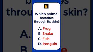 General Knowledge Quiz Part 4 #generalknowledgequiz #quizchallenge #quiz #shorts