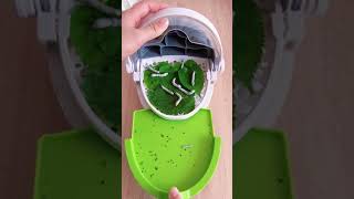 How to set up your own worm farms! #silk #silkworm #insects #moth #farm #cocoon #tiktok #shorts