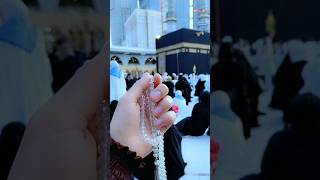 یا رب پوری امتِ مسلمہ دیکھنا کو نصیب فرما #shots #viralreels #trendingvideo #islamicstatus #status