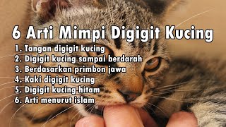 Arti Mimpi Digigit Kucing