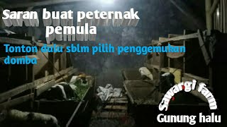 Saran buat pemula yg main penggemukan