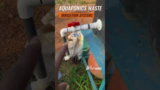 How to Build a Simple Irrigation System- Aquaponics Waste.