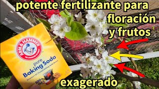 fertilizante organico y natural para producción exagerada en los arboles frutales