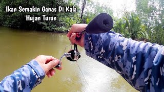 WOW...!! IKANNYA SEMAKIN GANAS DI SAAT HUJAN TURUN || MANCING DASARAN