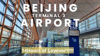 HOW TO TRANSIT AT BEIJING INTERNATIONAL AIRPORT TERMINAL 3 | 14 HOURS OF LAYOVER IN BEIJING