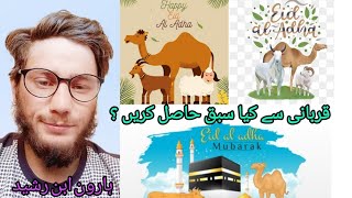 قربانی سے کیا سبق حاصل کریں | ہارون ابن رشید          What lessons can be learned from the sacrifice