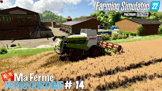 🟢 Reprise de la MOISSON avec le COLZA - MA FERME PERIGOURDINE #14