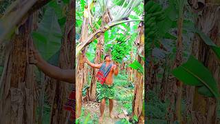 Bananas cutting scene 🌴🍌(ep-36).#shorts #shortvideo #trending