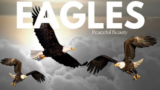 Eagle Majesty | Soaring High in the Wild Sky