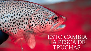 ¡Esta REVELACIÓN SOBRE las TRUCHAS Va a Cambiar la Pesca PARA SIEMPRE!